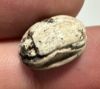 Picture of ANCIENT EGYPT, NEW KINGDOM STEATITE STONE SCARAB.  1400 - 1200 B.C.