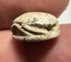 Picture of ANCIENT EGYPT, NEW KINGDOM STEATITE STONE SCARAB.  1400 - 1200 B.C.