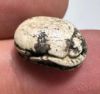 Picture of ANCIENT EGYPT, NEW KINGDOM STEATITE STONE SCARAB.  1400 - 1200 B.C.