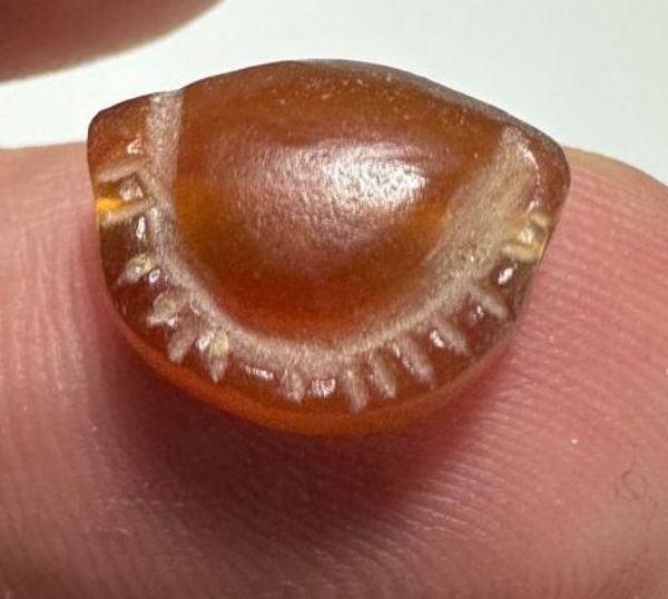 Picture of ANCIENT EGYPT. CARNELIAN SEA SHELL AMULET. 1250 B.C  NEW KINGDOM