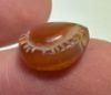 Picture of ANCIENT EGYPT. CARNELIAN SEA SHELL AMULET. 1250 B.C  NEW KINGDOM