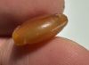 Picture of ANCIENT EGYPT. CARNELIAN SEA SHELL AMULET. 1250 B.C  NEW KINGDOM