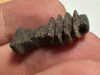 Picture of ANCIENT EGYPT. LAPIS LAZULI DJED PILLAR AMULET . NEW KINGDOM. 1250 B.C
