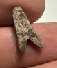 Picture of ANCIENT EGYPT. NEW KINGDOM  SILVER FLY AMULET. 1250 B.C 