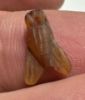 Picture of ANCIENT EGYPT, NEW KINGDOM CARNELIAN STONE FLY AMULET. 1400 B.C