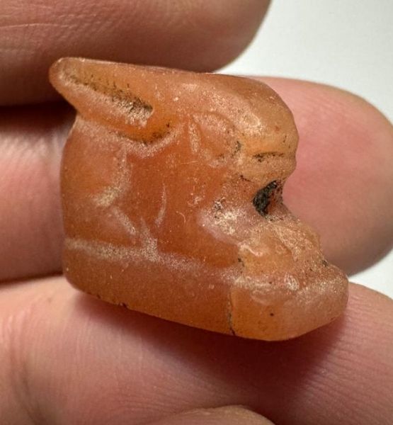 Picture of ANCIENT EGYPT -  BEAUTIFUL  CARNELIAN AMULET OF A HARE . NEW KINGDOM .1250 B.C. 