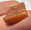Picture of ANCIENT EGYPT -  BEAUTIFUL  CARNELIAN AMULET OF A HARE . NEW KINGDOM .1250 B.C. 