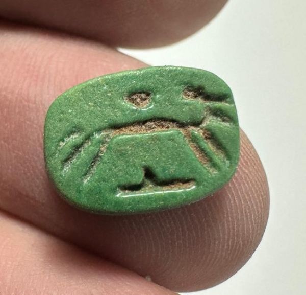 Picture of   Ancient Egypt. Faience Scaraboid. New Kingdom .14th B.C