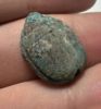 Picture of   Ancient Egypt. New Kingdom. 1400 - 1200 B.C EGYPTIAN BLUE (FAIENCE) Scarab