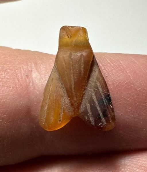 Picture of  ANCIENT EGYPT. CARNELIAN FLY AMULET. 1250 B.C  NEW KINGDOM
