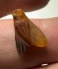 Picture of  ANCIENT EGYPT. CARNELIAN FLY AMULET. 1250 B.C  NEW KINGDOM