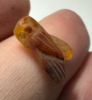 Picture of  ANCIENT EGYPT. CARNELIAN FLY AMULET. 1250 B.C  NEW KINGDOM