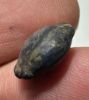 Picture of ANCIENT EGYPT. LAPIS LAZULI SEA SHELL AMULET. 1250 B.C  NEW KINGDOM