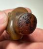 Picture of ANCIENT EGYPT. NEW KINGDOM. CARNELIAN HEAD OF A PRINCESS . 14TH CENTURY B.C
