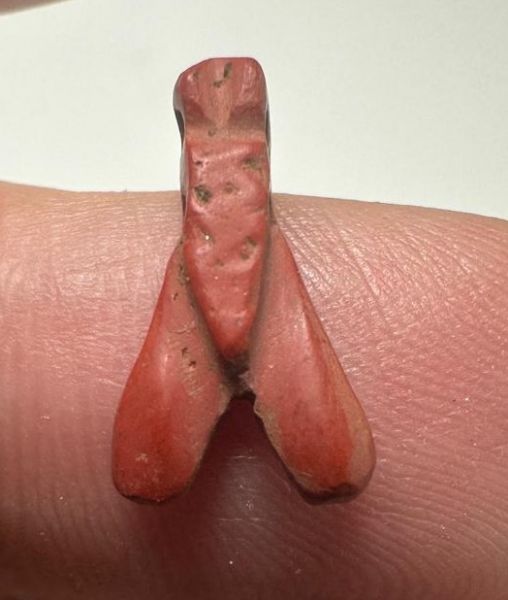Picture of ANCIENT EGYPT, NEW KINGDOM RED JASPER FLY AMULET. 1400 B.C