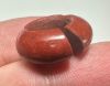 Picture of ANCIENT EGYPT, 18TH DYNASTY, RED JASPER HAIR RING. 1400 B.C