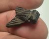 Picture of ANCIENT EGYPT, NEW KINGDOM STONE FLY AMULET. 1400 B.C
