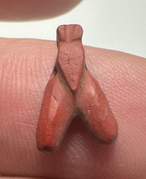 Picture of ANCIENT EGYPT, NEW KINGDOM RED JASPER FLY AMULET. 1400 B.C