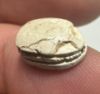 Picture of   Ancient Egypt. Stone Scarab. New Kingdom . 14th Century B.C
