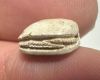 Picture of   Ancient Egypt. Stone Scarab. New Kingdom . 14th Century B.C