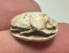 Picture of   Ancient Egypt. Stone Scarab. New Kingdom . 14th Century B.C