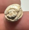 Picture of   Ancient Egypt. Stone Scarab. New Kingdom . 14th Century B.C