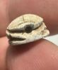 Picture of   Ancient Egypt. Stone Scarab. New Kingdom . 14th Century B.C