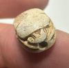 Picture of   Ancient Egypt. Stone Scarab. New Kingdom . 14th Century B.C