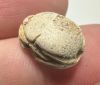 Picture of   Ancient Egypt. Stone Scarab. New Kingdom . 14th Century B.C