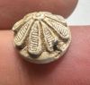 Picture of   Ancient Egypt. Stone Scaraboid. New Kingdom . 14th Century B.C