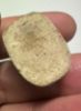 Picture of ANCIENT EGYPT.  STONE AMULET OF A  HEDGEHOG. 600 - 300 B.C
