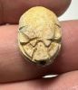 Picture of ANCIENT EGYPT.  SECOND INTERMEDIATE PERIOD STEATITE  STONE SCARAB. 1750 - 1550 B.C 