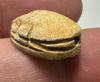 Picture of ANCIENT EGYPT.  SECOND INTERMEDIATE PERIOD STEATITE  STONE SCARAB. 1750 - 1550 B.C 