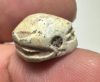 Picture of ANCIENT EGYPT.  SECOND INTERMEDIATE PERIOD STEATITE  STONE SCARAB. 1750 - 1550 B.C 