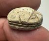 Picture of ANCIENT EGYPT.  SECOND INTERMEDIATE PERIOD STEATITE  STONE SCARAB. 1750 - 1550 B.C 
