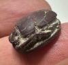 Picture of   Ancient Egypt. Stone Scarab. New Kingdom . 14th Century B.C