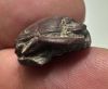 Picture of   Ancient Egypt. Stone Scarab. New Kingdom . 14th Century B.C