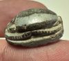 Picture of   Ancient Egypt. Stone Scarab. New Kingdom . 14th Century B.C