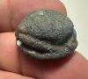 Picture of  Ancient Egypt. Faience Scarab. New Kingdom . 14th Century B.C