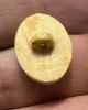 Picture of   Ancient Egypt. Ivory or Bone Button Scarab. New Kingdom . 14th - 12th  Century B.C