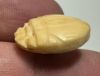 Picture of   Ancient Egypt. Ivory or Bone Button Scarab. New Kingdom . 14th - 12th  Century B.C
