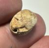 Picture of ANCIENT EGYPT.  SECOND INTERMEDIATE PERIOD STEATITE  STONE SCARAB. 1750 - 1550 B.C 