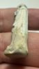 Picture of ANCIENT EGYPT - FAIENCE TAWERET AMULET . 600 - 300 B.C
