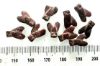 Picture of LOT OF 10 : ANCIENT EGYPT. NEW KINGDOM RED JASPER FLY AMULETS. 1400 B.C