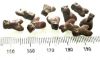 Picture of LOT OF 10 : ANCIENT EGYPT. NEW KINGDOM RED JASPER FLY AMULETS. 1400 B.C