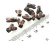 Picture of LOT OF 10 : ANCIENT EGYPT. NEW KINGDOM RED JASPER FLY AMULETS. 1400 B.C