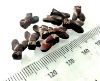 Picture of LOT OF 10 : ANCIENT EGYPT. NEW KINGDOM RED JASPER FLY AMULETS. 1400 B.C