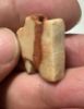 Picture of   ANCIENT EGYPT. RED BRECCIA EYE OF HORUS AMULET. 1250 B.C  NEW KINGDOM