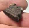 Picture of ANCIENT EGYPT. FAIENCE KHNUM AMULET. 600 - 300 B.C