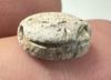 Picture of   Ancient Egypt. Stone Scarab. New Kingdom . 14th Century B.C